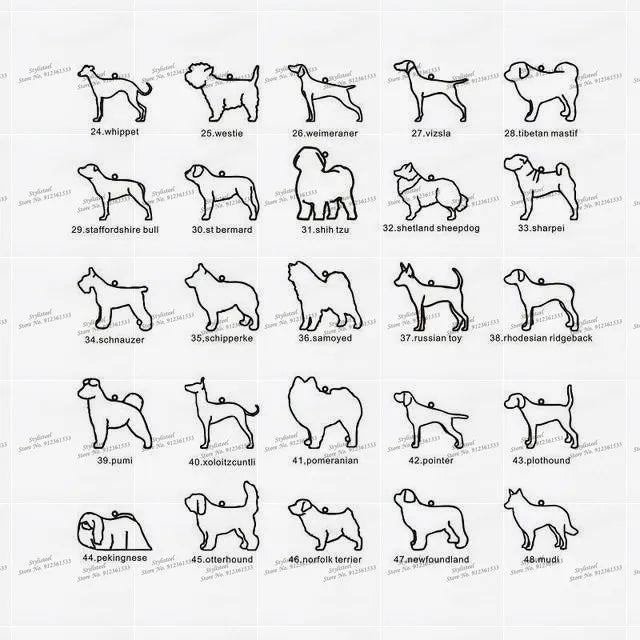 49863701332294|49863701397830